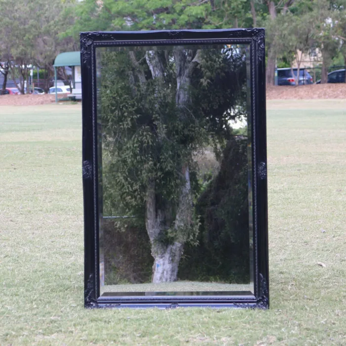 Embossed Wall Mirror With Wooden Framed Black 91x60cm [EO6091-B]