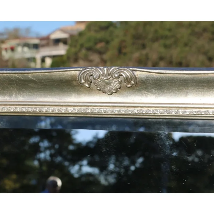 Europe Palace Style Embossed Silver Frame Mirror 112x70cm [EO70112-S] - Image 4