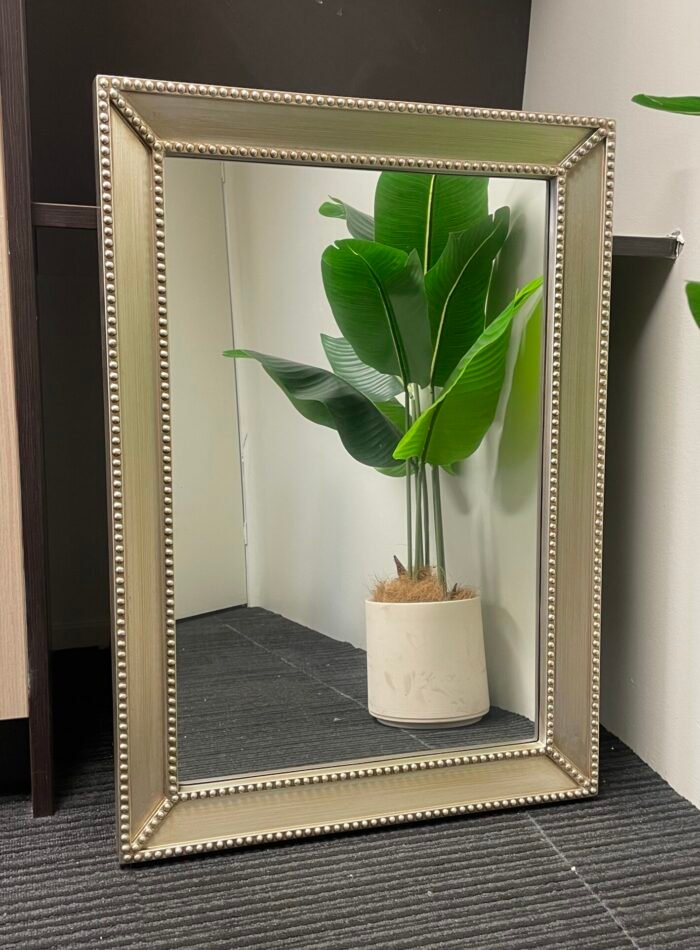 Resin Europe Palace Style Embossed Wall Mirror Silver Frame 88x63cm [OF160]